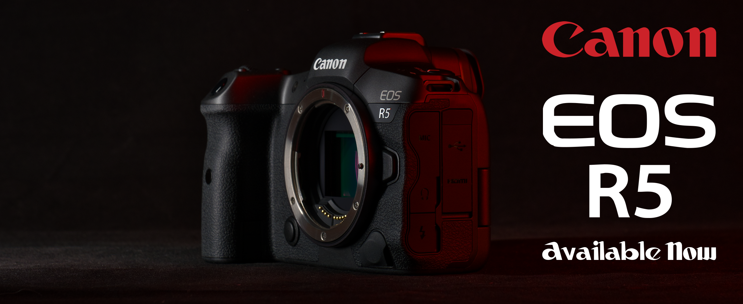 The Rent Lenses and Cameras from Canon, Nikon, Olympus